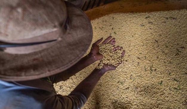 A balança comercial de Goiás registrou superávit de US$ 7,3 bilhões entre janeiro e novembro de 2025, impulsionado pelos US$ 12,3 bilhões em exportações frente a US$ 4,9 bilhões em importações. Somente em novembro, o estado exportou mais de US$ 808 milhões e importou US$ 449 milhões, garantindo saldo positivo de US$ 359 milhões no mês.