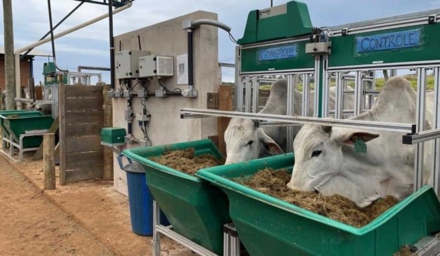 Um novo estudo da Embrapa mapeia tecnologias para a pecuária brasileira, mostrando que o setor já conta com um amplo portfólio de empresas conhecidas como PecTechs, as Agtechs focadas no mercado pecuário, capazes de aumentar a produtividade, melhorar a gestão da propriedade, otimizar o uso de recursos e reduzir impactos ambientais e riscos de mercado.