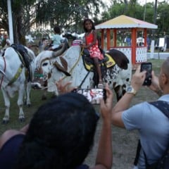 O Parque de Exposições de Salvador, na Bahia, recebe, até o próximo domingo (7), a 34ª edição da Feira Nacional da Agropecuária (Fenagro)