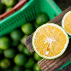 O cinturão citrícola de São Paulo e Triângulo/Sudoeste Mineiro deve colher 294,81 milhões de caixas de 40,8 kg de laranja na safra 2025/26, aponta a segunda reestimativa do Fundecitrus, divulgada nesta quarta-feira (10).