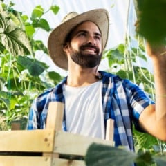 Conheça a Alcântara Agro, que regularizariza documentos do imóvel rural para o produtor do campo não se preocupar com a burocracia