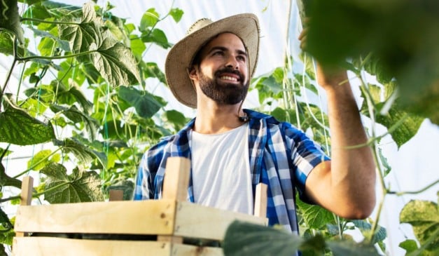 Conheça a Alcântara Agro, que regularizariza documentos do imóvel rural para o produtor do campo não se preocupar com a burocracia