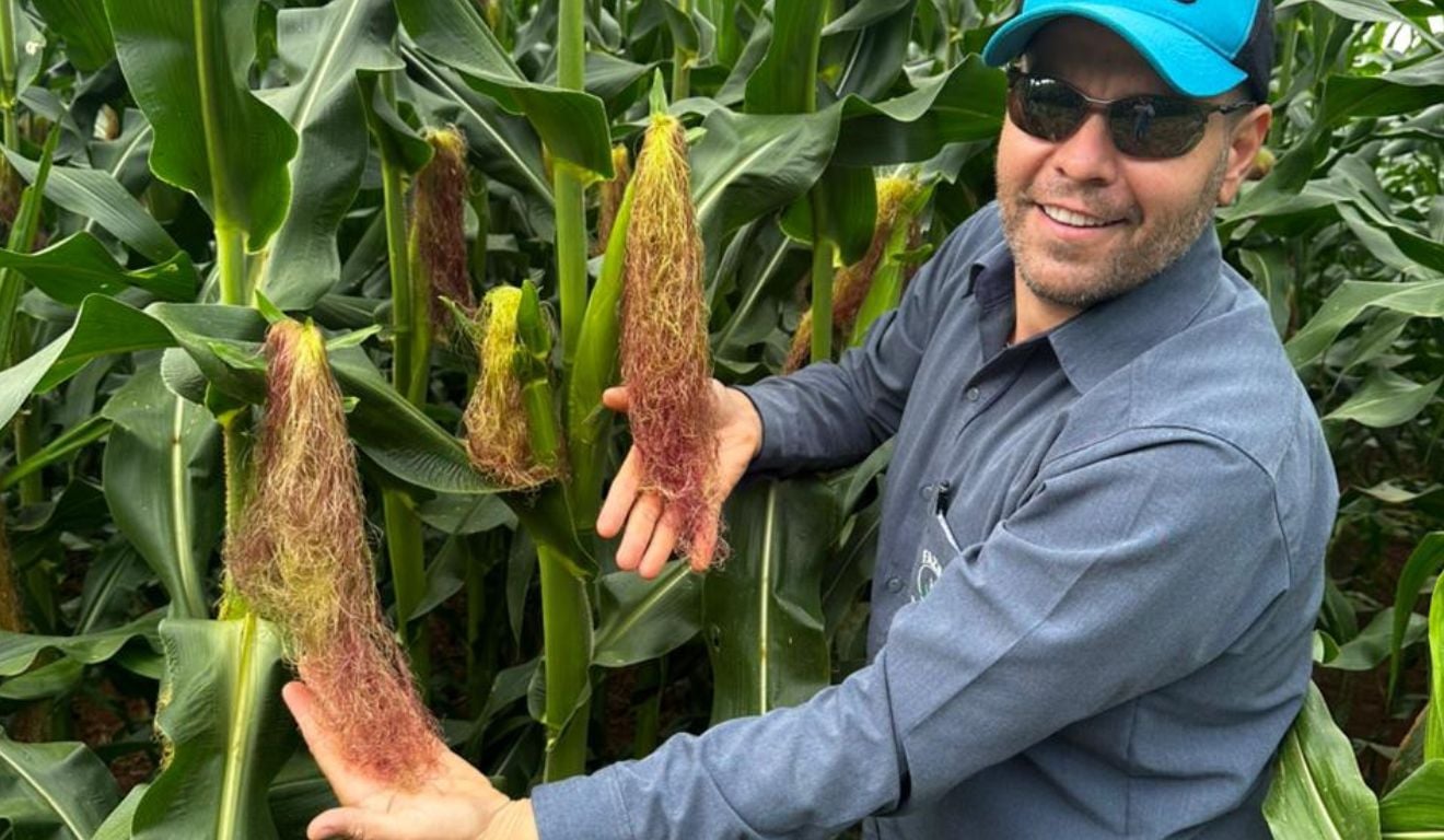 Mateus Passinatto conquistou o primeiro lugar no Concurso Nacional de Produtividade do Milho Inverno da Getap com manejo contínuo do solo Mateus Passinatto conquistou o primeiro lugar no Concurso Nacional de Produtividade do Milho Inverno da Getap com manejo contínuo do solo