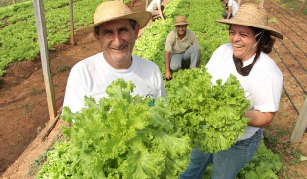 O Governo do Maranhão lançou uma nova Chamada Pública do Programa de Aquisição de Alimentos (PAA) para selecionar municípios interessados em adquirir produtos da agricultura familiar. A edição deste ano conta com R$ 2 milhões e traz também a participação de comunidades indígenas, fortalecendo iniciativas em territórios de povos originários.