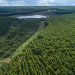 O Mato Grosso do Sul, apenas em 2025, recebeu mais de R$ 80 bilhões em investimentos privados no Estado, impulsionando a chegada de indústrias e ampliando oportunidades para os produtores rurais. O estado avançou em um modelo de desenvolvimento que combina crescimento econômico, industrialização das cadeias produtivas e preservação ambiental.