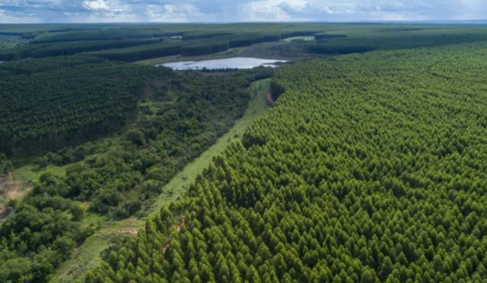 O Mato Grosso do Sul, apenas em 2025, recebeu mais de R$ 80 bilhões em investimentos privados no Estado, impulsionando a chegada de indústrias e ampliando oportunidades para os produtores rurais. O estado avançou em um modelo de desenvolvimento que combina crescimento econômico, industrialização das cadeias produtivas e preservação ambiental.