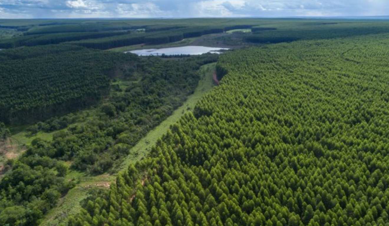 O Mato Grosso do Sul, apenas em 2025, recebeu mais de R$ 80 bilhões em investimentos privados no Estado, impulsionando a chegada de indústrias e ampliando oportunidades para os produtores rurais. O estado avançou em um modelo de desenvolvimento que combina crescimento econômico, industrialização das cadeias produtivas e preservação ambiental.