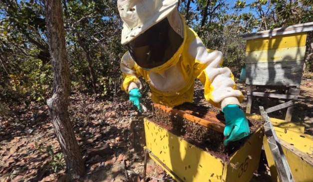 A segunda edição do Projeto de Promoção da Melhoria da Qualidade das Agroindústrias de Goiás vai selecionar 60 agroindústrias de pequeno porte em todo o estado, abrangendo unidades dos 246 municípios goianos que produzem alimentos. A iniciativa tem como objetivo elevar os padrões de qualidade e garantir o atendimento às exigências sanitárias.