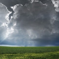 A 9ª Pesquisa ABMRA Hábitos do Produtor Rural mostra que 86% dos trabalhadores do campo estão preocupados com as mudanças climáticas