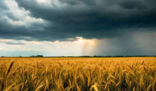 A Organização Meteorológica Mundial (OMM) informou nesta quinta-feira (5), em Genebra, que há 55% de chance de formação de um La Niña fraco nos próximos três meses, condição que deve influenciar os padrões climáticos e meteorológicos ao redor do mundo