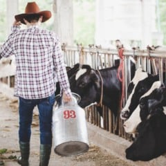 Conheça os diferentes tipos de ordenha, suas vantagens, custos e como escolher o método ideal para seu rebanho