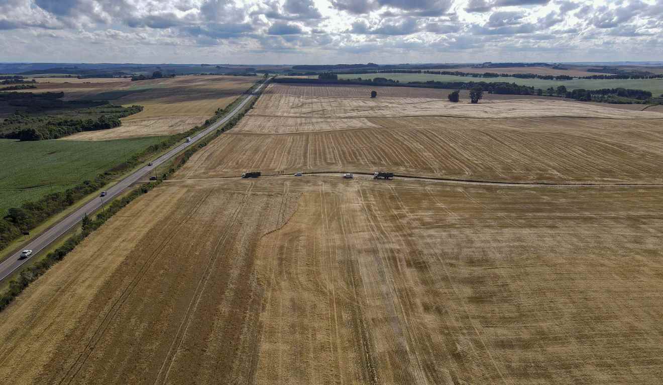 O Paraná alcançou a maior safra de grãos da história do Estado, com 46,8 milhões de toneladas colhidas no ciclo 2024/25, segundo o Departamento de Economia Rural (Deral), da Secretaria de Agricultura e Abastecimento (Seab). O volume histórico representa um Valor Bruto de Produção (VBP) estimado em R$ 68 bilhões.