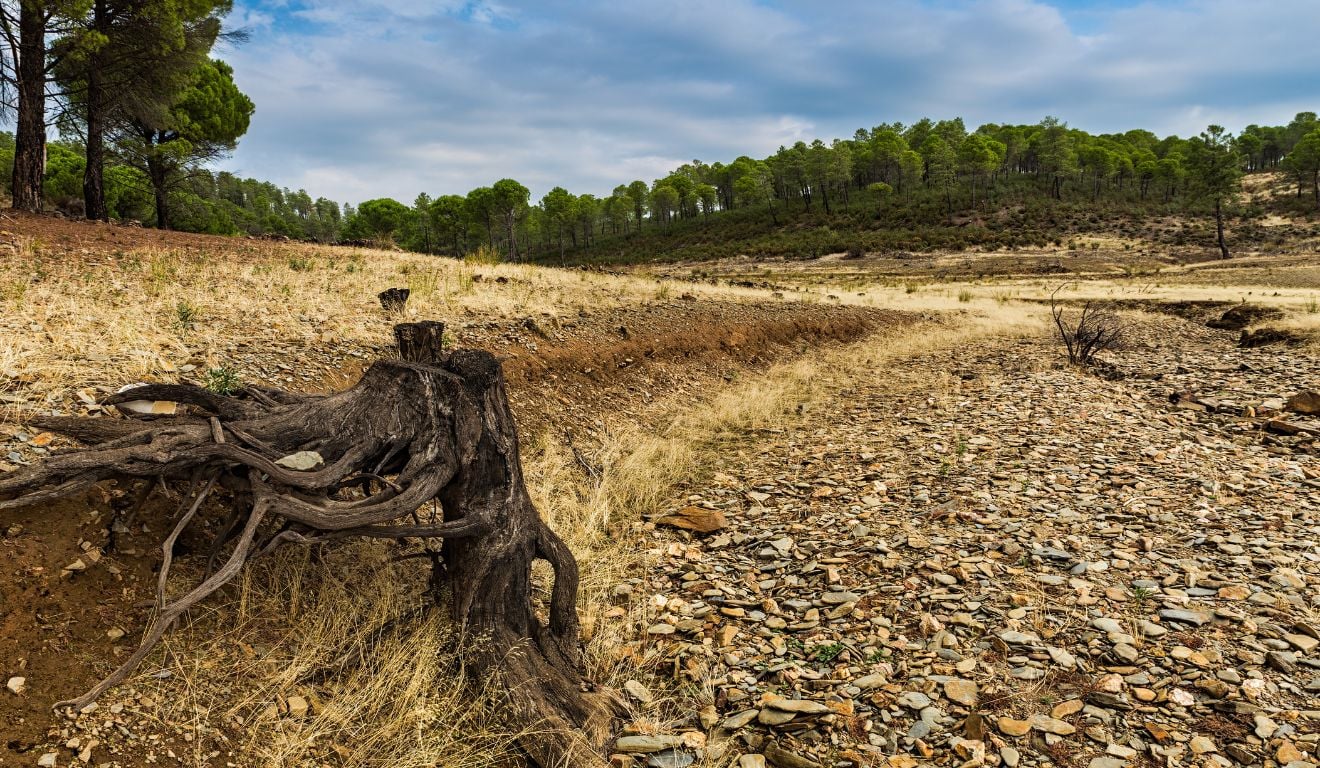 O Plano de Recuperação de Áreas Degradadas é um dos principais instrumentos para promover produção e sustentabilidade O Plano de Recuperação de Áreas Degradadas é um dos principais instrumentos para promover produção e sustentabilidade