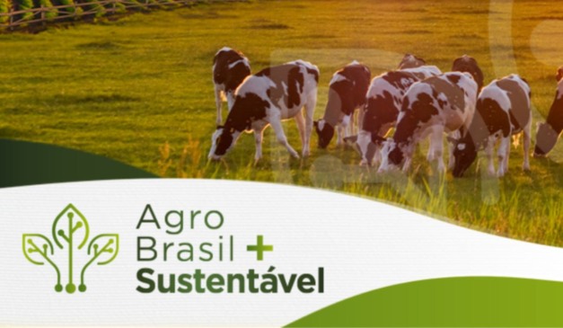 O Governo Federal lançou, na última semana, o novo serviço de habilitação de Área de Produção para Exportação para a Plataforma Agro Brasil + Sustentável, com foco em facilitar exportação com sustentabilidade e abertura de novos mercados para os produtores rurais brasileiros