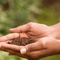Um guia completo para entender, planejar e aplicar boas práticas agrícolas que aumentam produtividade e reduzem impactos ambientais