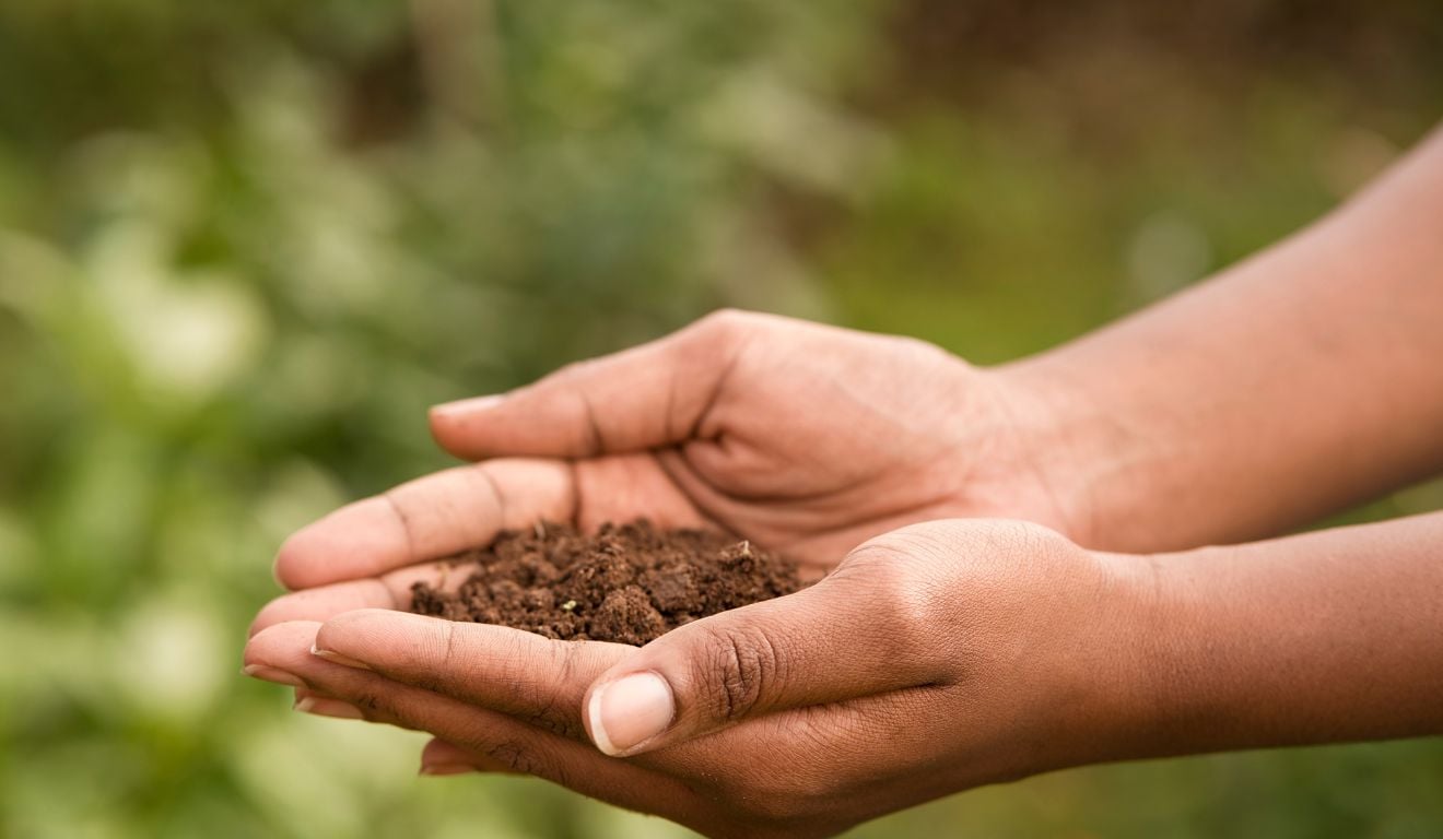 Um guia completo para entender, planejar e aplicar boas práticas agrícolas que aumentam produtividade e reduzem impactos ambientais Um guia completo para entender, planejar e aplicar boas práticas agrícolas que aumentam produtividade e reduzem impactos ambientais