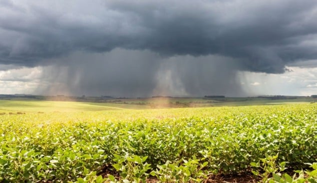 Paisagem de uma vasta plantação de soja sob sol intenso no primeiro plano, contrastando com uma parede de nuvens de tempestade escuras e chuva pesada caindo no horizonte.