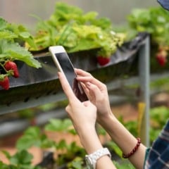 Conheça como funciona o rastreamento de produtos no agro, além dos principais usos, tendências e sua importância para o setor