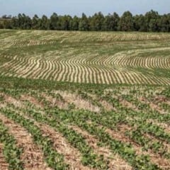 O governo do Rio Grande do Sul apresentou, nesta terça-feira (9), o balanço parcial do Plano Estadual de Agricultura de Baixa Emissão de Carbono (Plano ABC+RS), durante workshop realizado pela Secretaria da Agricultura, Pecuária, Produção Sustentável e Irrigação (Seapi). Ao chegar à metade do ciclo (2020–2030), o plano acumula 1,52 milhão de hectares com práticas de baixo carbono implementadas até 2025.