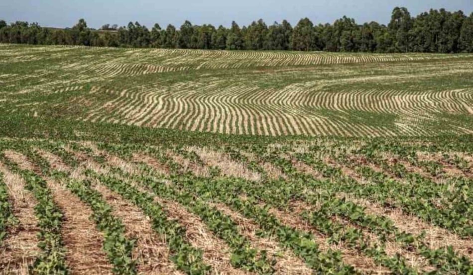 O governo do Rio Grande do Sul apresentou, nesta terça-feira (9), o balanço parcial do Plano Estadual de Agricultura de Baixa Emissão de Carbono (Plano ABC+RS), durante workshop realizado pela Secretaria da Agricultura, Pecuária, Produção Sustentável e Irrigação (Seapi). Ao chegar à metade do ciclo (2020–2030), o plano acumula 1,52 milhão de hectares com práticas de baixo carbono implementadas até 2025.