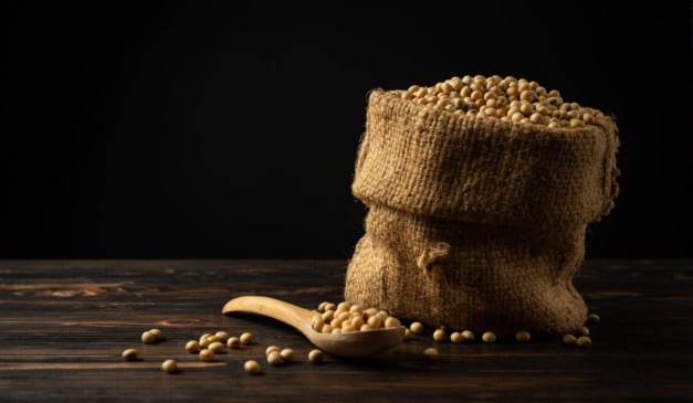 Com o fim do plantio da temporada 2025/26 se aproximando, o Brasil deve registrar uma safra recorde de soja, de acordo com a DATAGRO