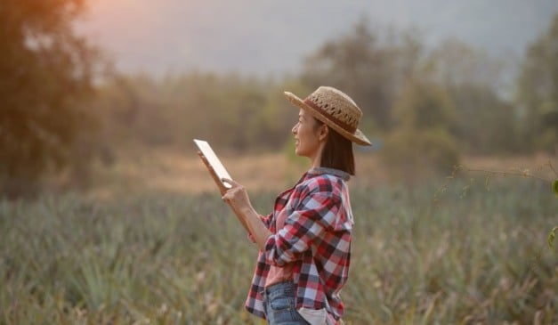 A SciCrop fornece, utilizando inteligência artificial, análises complexas de dados climáticos no dampo por meio de métodos estatísticos