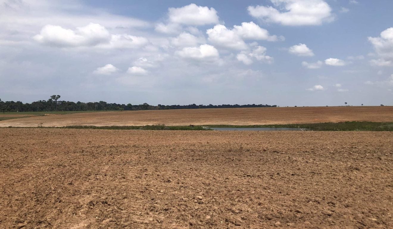 Idaf alerta produtores sobre prazo de semeadura da soja no Acre