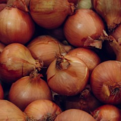 Produtores de sementes de cebola de Candiota e Hulha Negra, no Sul do Rio Grande do Sul, iniciam a colheita com lavouras em matura&ccedil;&atilde;o e bom potencial produtivo, segundo a Emater/RS-Ascar. Com a previs&atilde;o de chuvas intensas no per&iacute;odo do Natal, parte dos agricultores avalia antecipar a retirada das &aacute;reas mais adiantadas para reduzir riscos, diante do alto valor agregado do produto, comercializado em torno de R$ 120 por quilo.