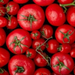 Os pre&ccedil;os do tomate e da batata registraram quedas em novembro nos principais mercados atacadistas do pa&iacute;s, conforme informado pela Conab