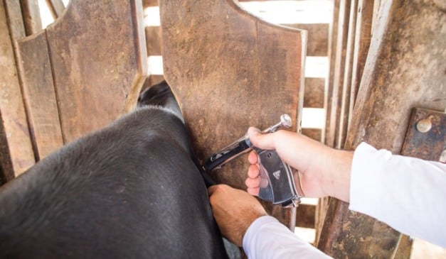 Fonte: CNA (Wenderson Araujo/Trilux). 