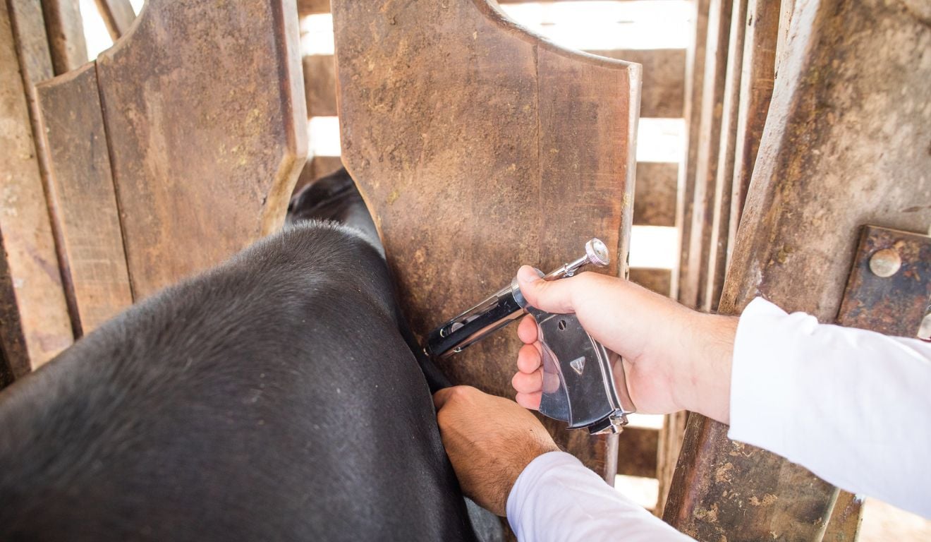 Fonte: CNA (Wenderson Araujo/Trilux). 