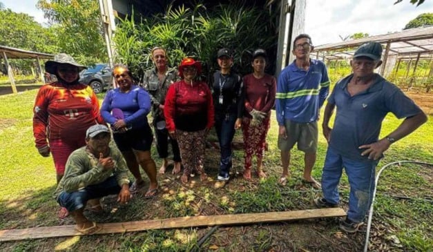 açaí passou a ser oficialmente reconhecido como fruta nacional com a sanção da Lei nº 15.330, de 2026, reforçando a soberania sobre um dos principais produtos agrícolas do Brasil. No Amazonas, a cadeia produtiva envolve mais de 17,5 mil agricultores familiares e extrativistas, com apoio do Instituto de Desenvolvimento Agropecuário e Florestal Sustentável do Estado do Amazonas (Idam).