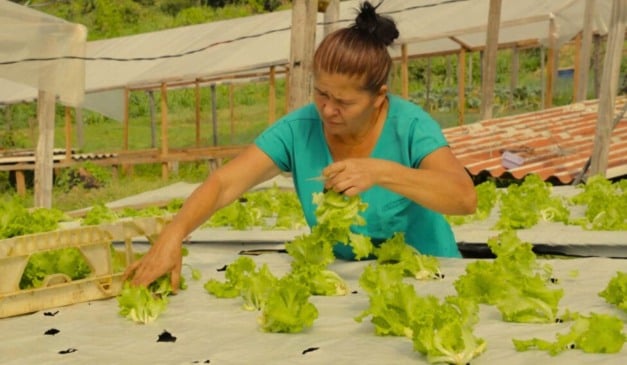 O governo do Acre abriu chamada pública para a compra de gêneros alimentícios da agricultura familiar. O objetivo é abastecer a merenda escolar da Rede Estadual de Ensino em 2026. A Secretaria de Estado de Educação e Cultura (SEE) coordena a iniciativa, que atende estudantes beneficiários do Programa Nacional de Alimentação Escolar (Pnae).