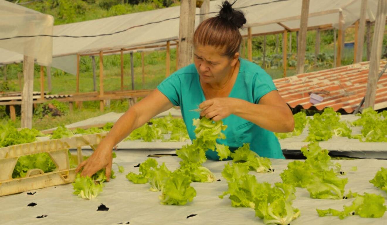 O governo do Acre abriu chamada pública para a compra de gêneros alimentícios da agricultura familiar. O objetivo é abastecer a merenda escolar da Rede Estadual de Ensino em 2026. A Secretaria de Estado de Educação e Cultura (SEE) coordena a iniciativa, que atende estudantes beneficiários do Programa Nacional de Alimentação Escolar (Pnae).