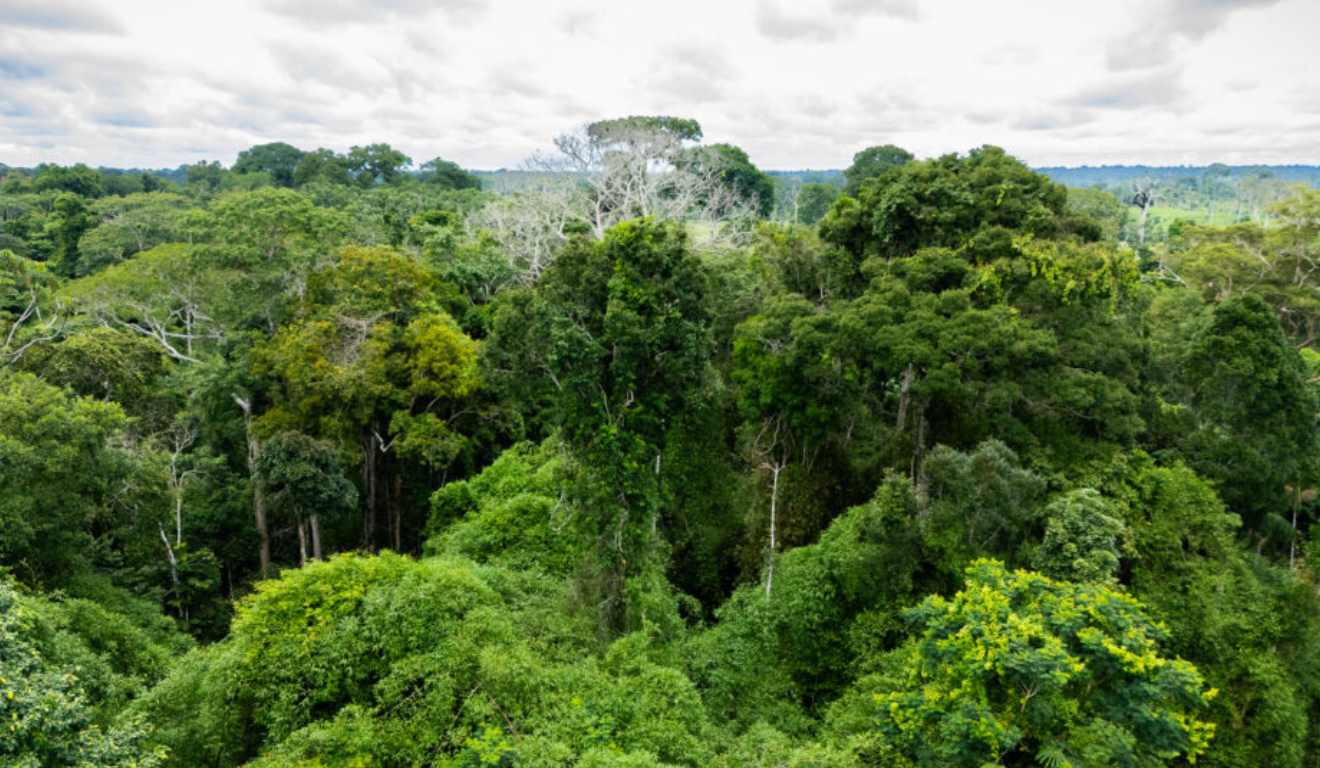 Nesta segunda-feira (26), o governador do Acre, Gladson Camelí, sancionou a Lei nº 4.759, que institui a Plataforma Digital de Transparência Ambiental Participativa. A nova ferramenta passa a disponibilizar dados públicos sobre manejo florestal, licenciamento ambiental, ocorrências de queimadas e áreas de conservação em todo o território acreano Nesta segunda-feira (26), o governador do Acre, Gladson Camelí, sancionou a Lei nº 4.759, que institui a Plataforma Digital de Transparência Ambiental Participativa. A nova ferramenta passa a disponibilizar dados públicos sobre manejo florestal, licenciamento ambiental, ocorrências de queimadas e áreas de conservação em todo o território acreano