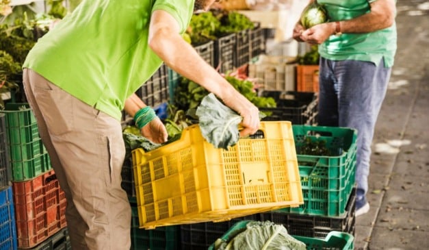 Grãos e proteínas do agro ganham competitividade no acordo UE-Mercosul, enquanto café terá tarifas reduzidas substancialmente