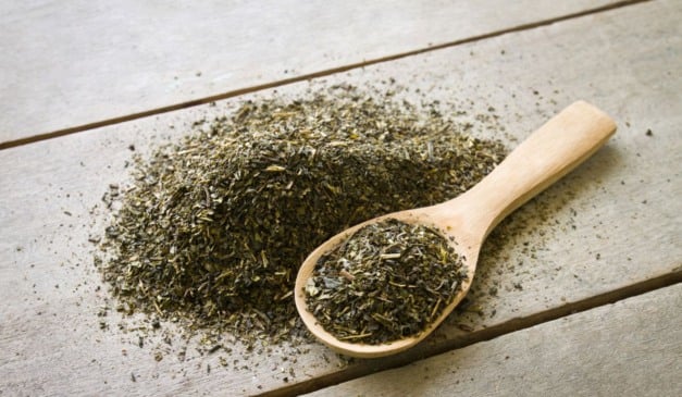 Entenda a produção de erva-mate no Brasil e conheça seu potencial de exportação e desafios enfrentados pelos produtores