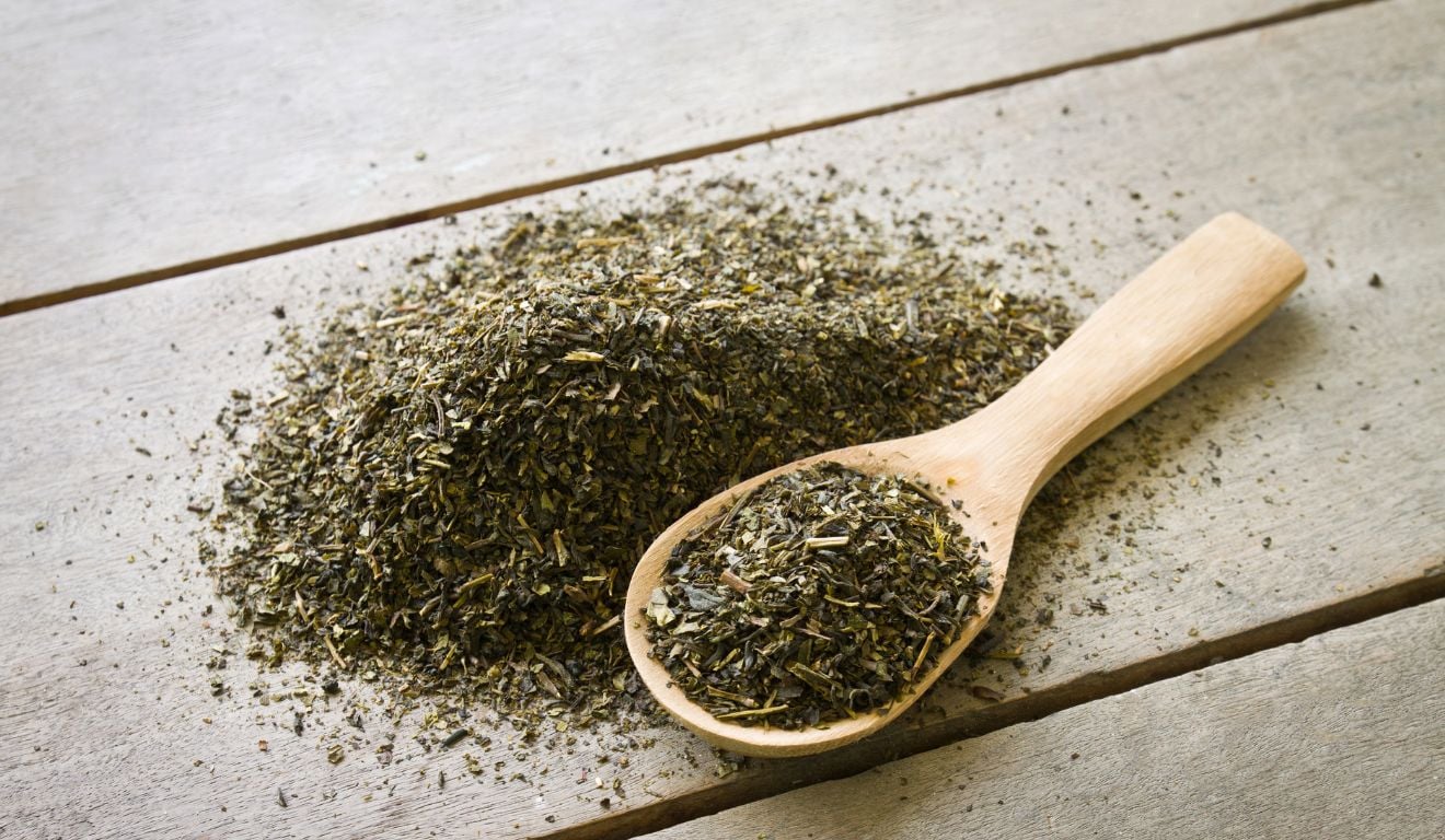 Entenda a produção de erva-mate no Brasil e conheça seu potencial de exportação e desafios enfrentados pelos produtores Entenda a produção de erva-mate no Brasil e conheça seu potencial de exportação e desafios enfrentados pelos produtores