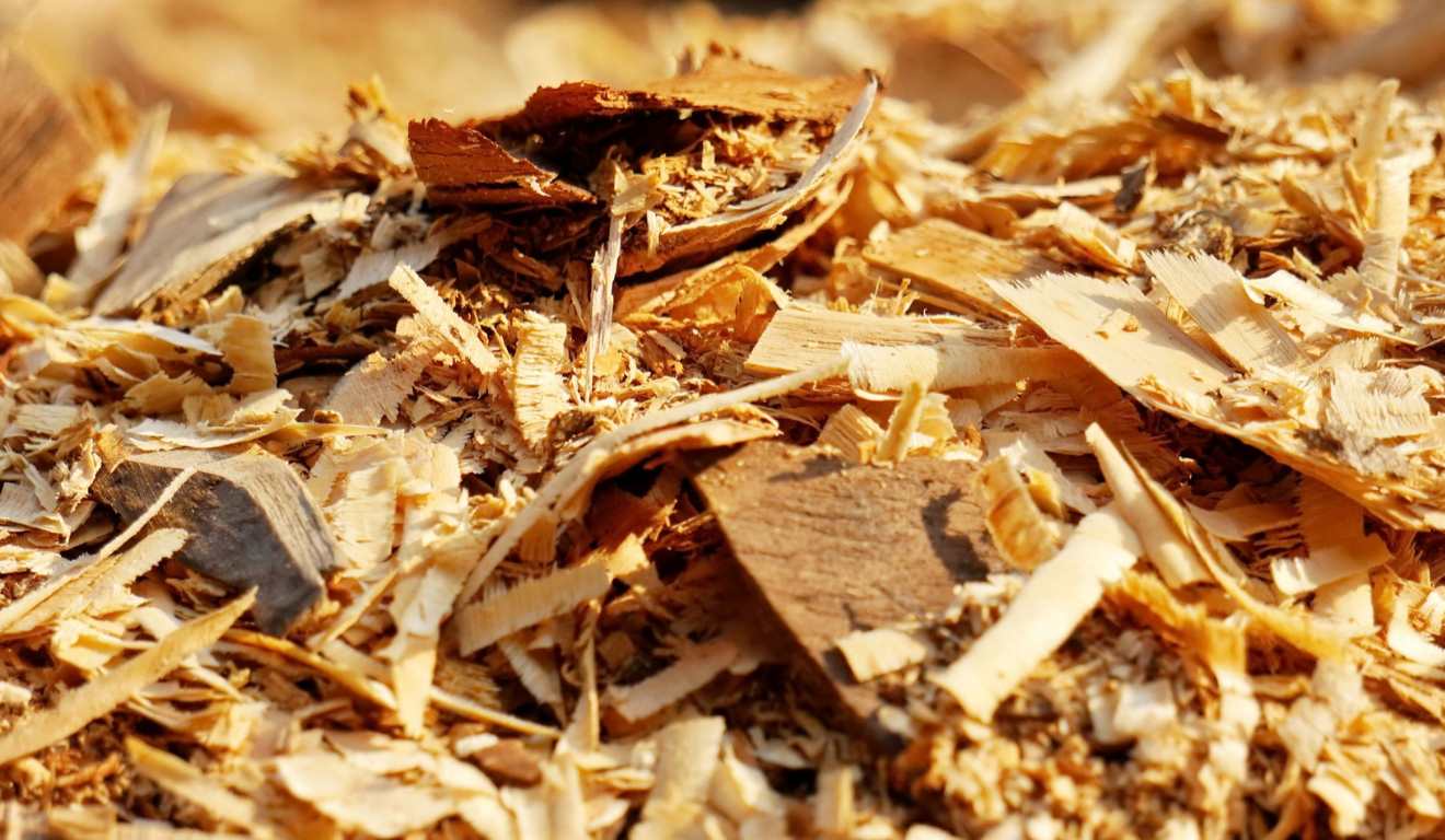 A Cibra concluiu a substituição do gás natural por biomassa como principal fonte energética da unidade industrial de Camaçari, na Bahia. A mudança resultou em uma redução de 79% nas emissões de gases de efeito estufa (GEE) entre 2019 e 2024, o equivalente a cerca de 60 mil toneladas de CO₂, segundo dados da companhia. A Cibra concluiu a substituição do gás natural por biomassa como principal fonte energética da unidade industrial de Camaçari, na Bahia. A mudança resultou em uma redução de 79% nas emissões de gases de efeito estufa (GEE) entre 2019 e 2024, o equivalente a cerca de 60 mil toneladas de CO₂, segundo dados da companhia.