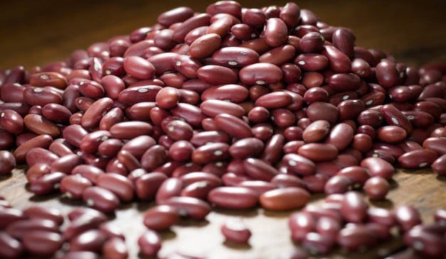 Nesta semana, a Companhia Nacional de Abastecimento (Conab) divulgou a nova lista de produtos com bônus do Programa de Garantia de Preços para a Agricultura Familiar (PGPAF) para janeiro