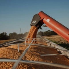 O Getap (Grupo T&aacute;tico de Aumento de Produtividade) abriu as inscri&ccedil;&otilde;es para o Concurso de Produtividade do Milho Inverno 2026. A expectativa &eacute; superar 300 &aacute;reas auditadas e ampliar a representatividade regional dos dados.