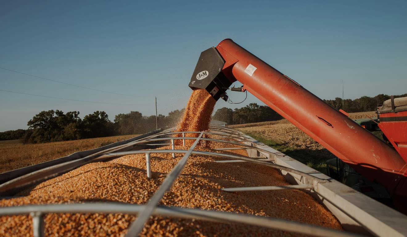 O Getap (Grupo Tático de Aumento de Produtividade) abriu as inscrições para o Concurso de Produtividade do Milho Inverno 2026. A expectativa é superar 300 áreas auditadas e ampliar a representatividade regional dos dados. O Getap (Grupo Tático de Aumento de Produtividade) abriu as inscrições para o Concurso de Produtividade do Milho Inverno 2026. A expectativa é superar 300 áreas auditadas e ampliar a representatividade regional dos dados.