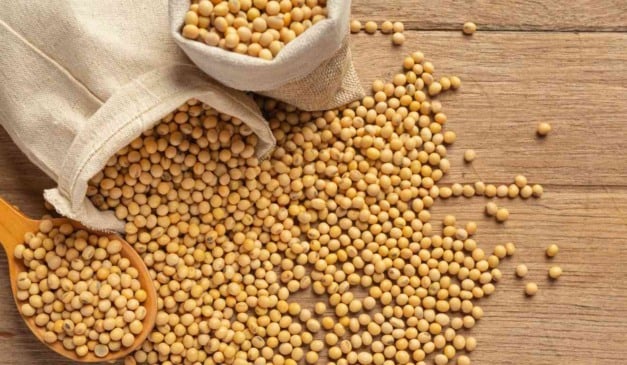 As cooperativas Frísia, de Carambeí (PR), e Castrolanda, de Castro (PR), iniciam a partir de 2 de fevereiro um sistema de intercooperação para integrar seus negócios de sementes. A Frísia responde pela marca Sementes Batavo, enquanto a Castrolanda atua com a marca Sementes Castrolanda.