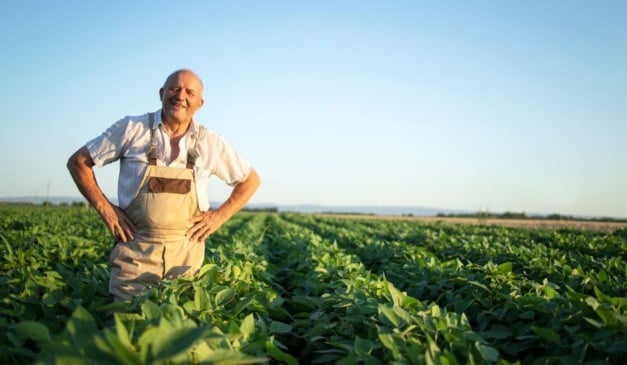 Descubra por que o Brasil é líder mundial na produção agrícola de soja, café, cana-de-açúcar e laranja e como isso impacta nos agricultores