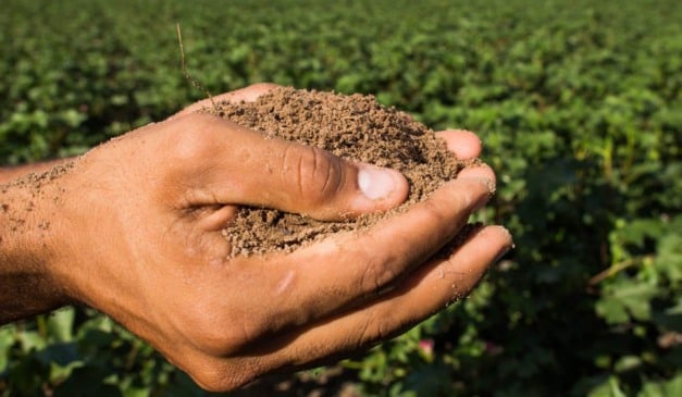 As equipes da Empresa de Assistência Técnica e Extensão Rural do Rio Grande do Sul e Associação Sulina de Crédito e Assistência Rural (Emater/RS-Ascar) iniciaram a o Programa Operação Terra Forte. A operação se baseia em fazer visitas técnicas a propriedades rurais em 131 municípios do estado