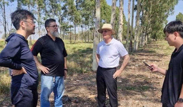 Com foco na produção pecuária sustentável e na redução de impactos ambientais, a Embrapa Pecuária Sudeste recebeu, em 2025, 19 missões internacionais. Ao todo, 55 visitantes de 14 países participaram das agendas. As delegações vieram de cinco continentes, com maior presença da Europa (37,5%) e da África (25%). O grupo buscou conhecer práticas e tecnologias adotadas pelo Brasil no setor agropecuário.