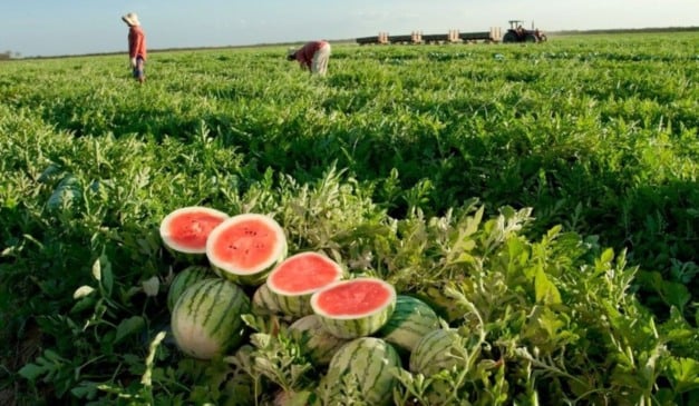 Foto: Wenderson Araujo/CNA