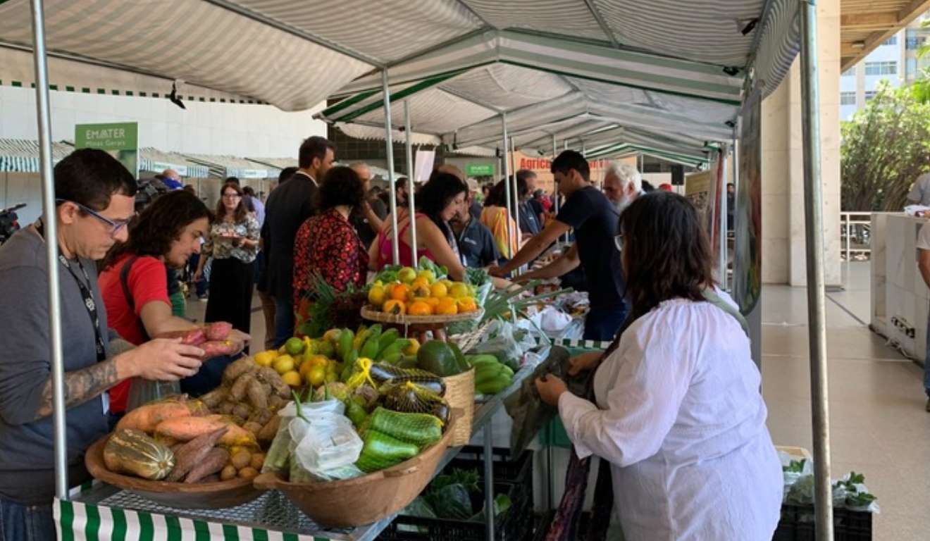 As feiras livres sustentam milhares de famílias rurais em Minas Gerais e seguem como um dos principais canais de comercialização da agricultura familiar no estado. Presentes em quase 700 municípios, essas iniciativas contam com o apoio da Empresa de Assistência Técnica e Extensão Rural (Emater-MG), em parceria com as prefeituras. Segundo levantamento da empresa, cerca de 18,9 mil famílias participam das feiras e alcançam renda média mensal de R$ 1.158,21. As feiras livres sustentam milhares de famílias rurais em Minas Gerais e seguem como um dos principais canais de comercialização da agricultura familiar no estado. Presentes em quase 700 municípios, essas iniciativas contam com o apoio da Empresa de Assistência Técnica e Extensão Rural (Emater-MG), em parceria com as prefeituras. Segundo levantamento da empresa, cerca de 18,9 mil famílias participam das feiras e alcançam renda média mensal de R$ 1.158,21.