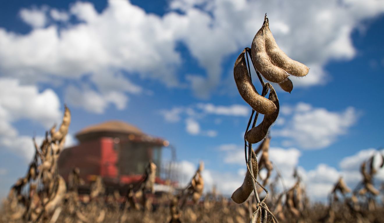 Ferrugem-asiática soma 144 registros na safra de soja 2025/26