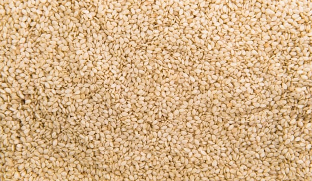 Descubra como o gergelim se tornou uma cultura relevante na região Centro-Oeste do Brasil e as suas vantagens de produção